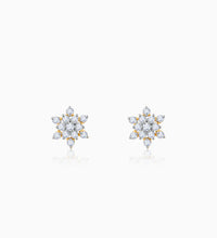 Gold Empress Spark Diamond Earrings